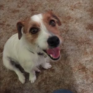 Meet your Posher, Deeder